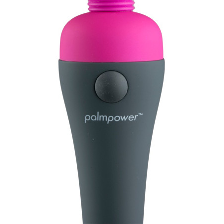 Stimulateur wand Palm Power 3.9 cm