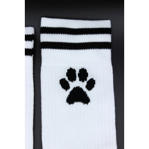 Socks PUPPY Sk8terboy