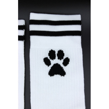 Socks PUPPY Sk8terboy
