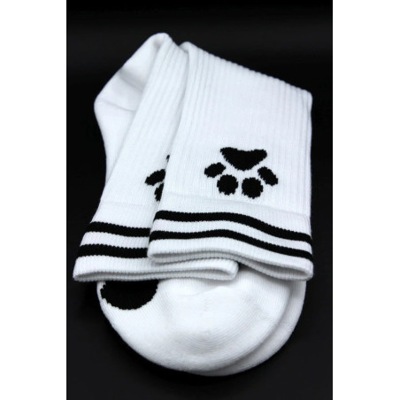 Socks PUPPY Sk8terboy