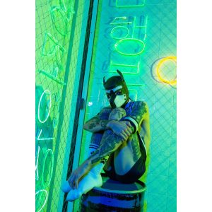 Socks PUPPY Sk8terboy