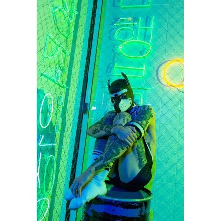 Socks PUPPY Sk8terboy