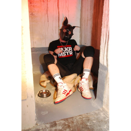 Socks PUPPY Sk8terboy
