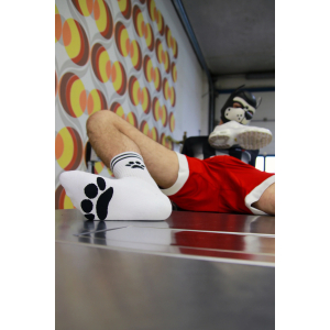 Socks PUPPY Sk8terboy