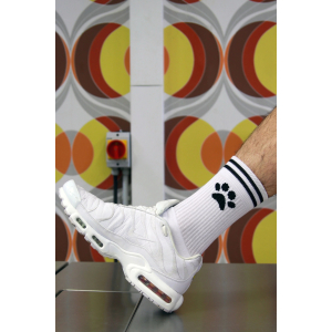 Socks PUPPY Sk8terboy