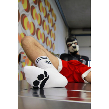Socks PUPPY Sk8terboy
