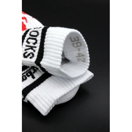 Chaussettes HOT SOCKS Sk8erboy