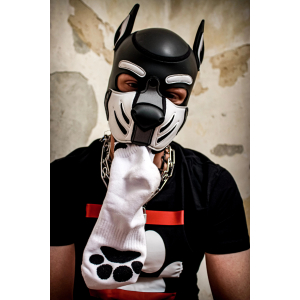 Chaussettes blanches PUPPY Sk8erboy
