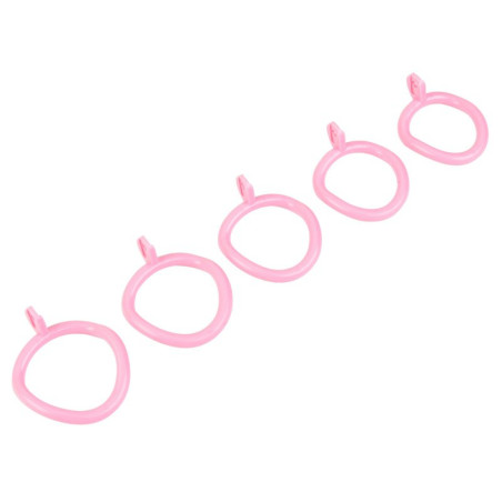 Cage de chasteté TERHIDY Rose avec Plug pénis
