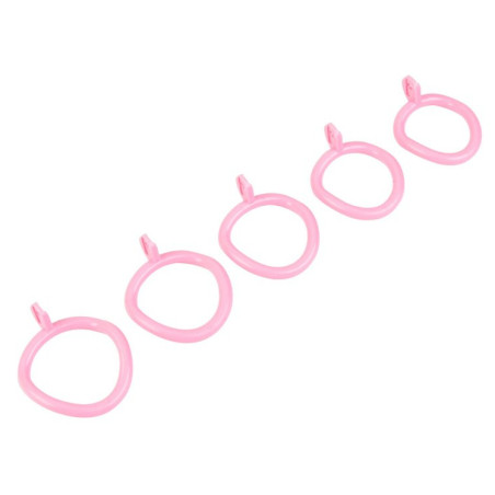 Cage de chasteté avec laisse LEASHIDY Rose de 2.5 x 3.8 cm