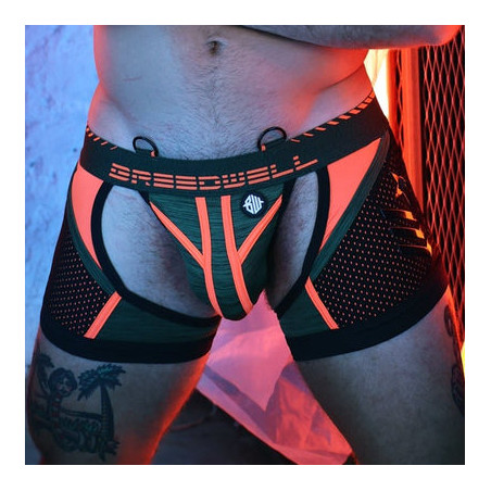 Jock Boxer COCKPIT Breedwell Kaki-Orange