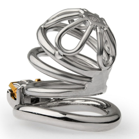 Cage de chasteté FLOWAL L de 6 x 3.3 cm par CockLock 2