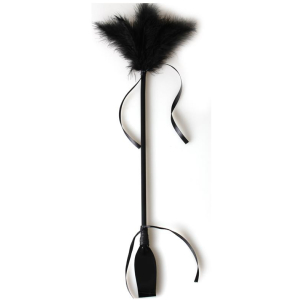 Cravache et Plumeau SECRET TOUCH 50cm Noir