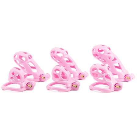 Cage de chasteté ROBAT Rose S de 4 x 3.3 cm