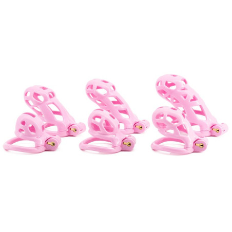 Cage de chasteté rose ROBAT L de 6.5 x 3.7 cm