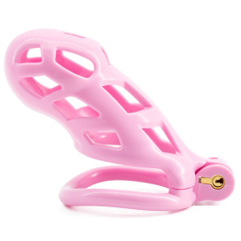 Cage de chasteté ROBAT XXL Rose de 10 x 3.7 cm 2