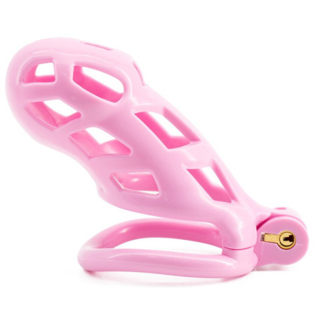 Cage de chasteté ROBAT XXL Rose de 10 x 3.7 cm