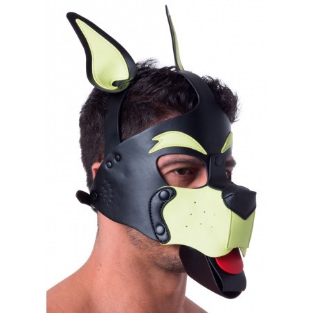 Masque PUPPY 665 Jaune/Vert