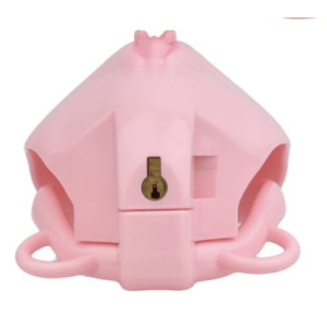 Cage de Chasteté avec Harnais SISLAB 5.5 x 3.5cm Rose