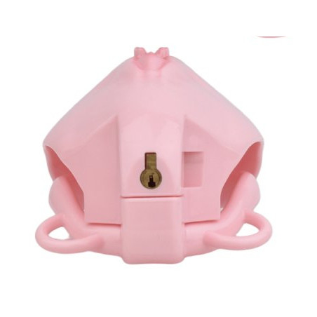 Cage de Chasteté avec Harnais SISLAB 5.5 x 3.5cm Rose