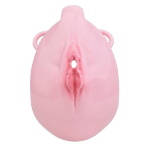 Cage de Chasteté avec Harnais SISLAB 5.5 x 3.5cm Rose