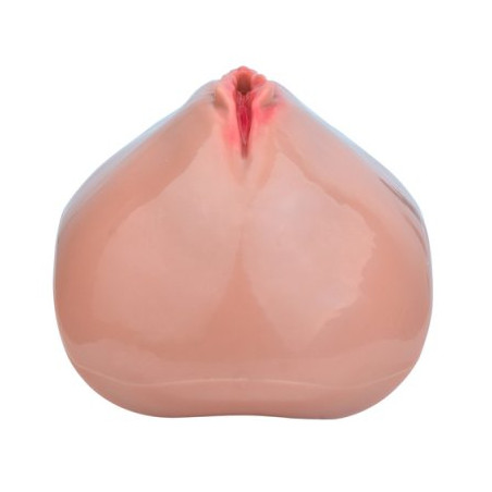 Cage de Chasteté avec Harnais SISLAB 5.5 x 3.5cm Chair