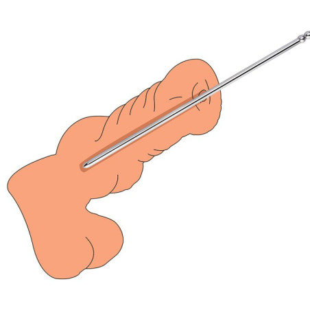 Tige d'urètre en métal PRONC M de 24 cm avec Diamètre 8 mm