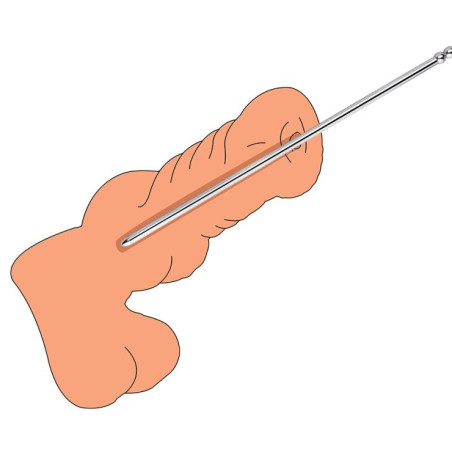Tige d'urètre PRONC L de 24 cm avec Diamètre 10 mm