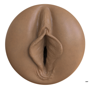 Masturbateur Réaliste Fleshlight BOOST BANG Dark Café