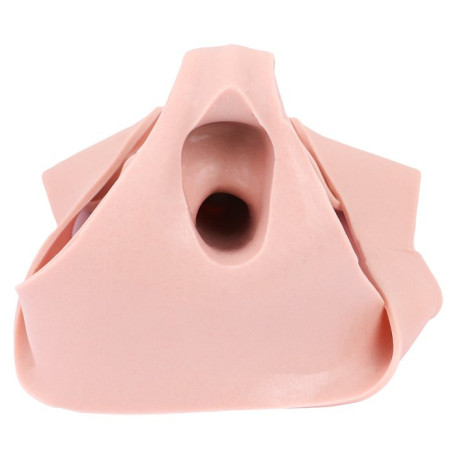 Gode Ceinture Creux POLMIX 20 x 5cm