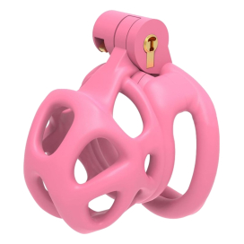Cage de chasteté BISHERA S Rose 5.5 x 3.2 cm de CockLock 2