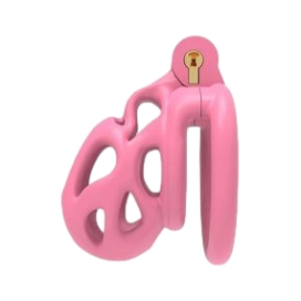 Cage de chasteté BISHERA M Rose de 6.5 x 3.2 cm 2