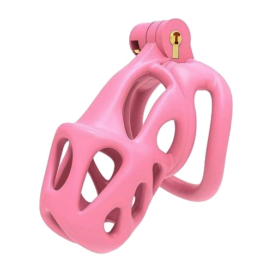 Cage de chasteté BISHERA L Rose de 8.5 x 3.2 cm 2