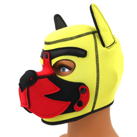 Cagoule PUPPY FOX Jaune et rouge en Néoprène