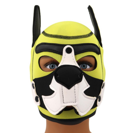 Cagoule PUPPY FOX Jaune et Blanche en Néoprène