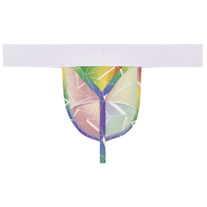 G-String SEXY FUN WOH Rainbow