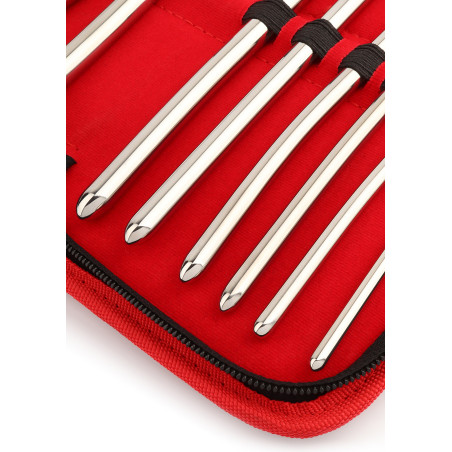 Lot de 10 Tiges d'urètre URSTRETCH 14 cm de Mr Steel