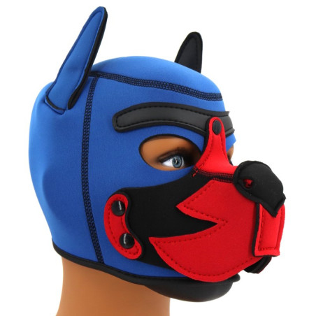 Cagoule PUPPY FOX Bleue et Rouge en Néoprène