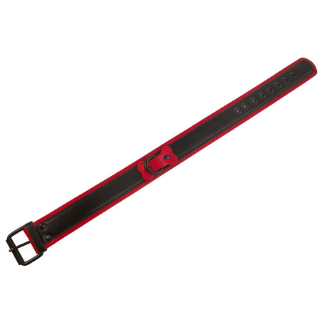 Collier PUPPY COLLAR Noir-Rouge