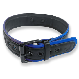 Collier PUPPY COLLAR Noir-Bleu 2