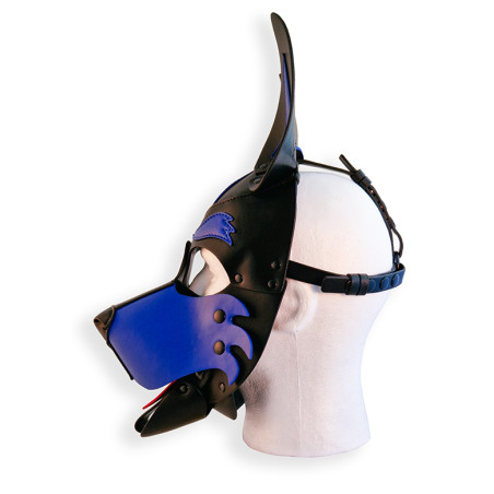 Cagoule PUPPY HOOD Noire et Bleue de Brutus