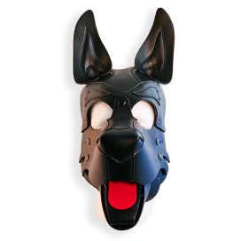 Cagoule PUPPY HOOD Noire de Brutus 2