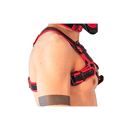 Harnais PUPPY HARNESS Noir-Rouge