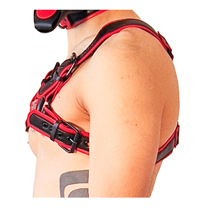 Harnais PUPPY HARNESS Noir-Rouge