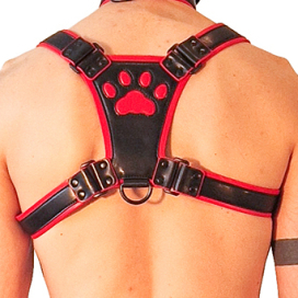 Harnais PUPPY HARNESS Noir-Rouge 2