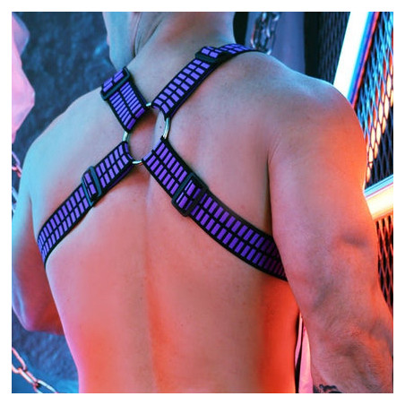 Harnais Body HYBRED Breedwell Violet