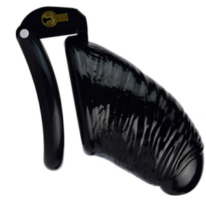 Cage de chasteté WORLE M Noire de CockLock