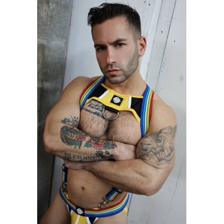 Harnais RETRO REMIX Breedwell Jaune