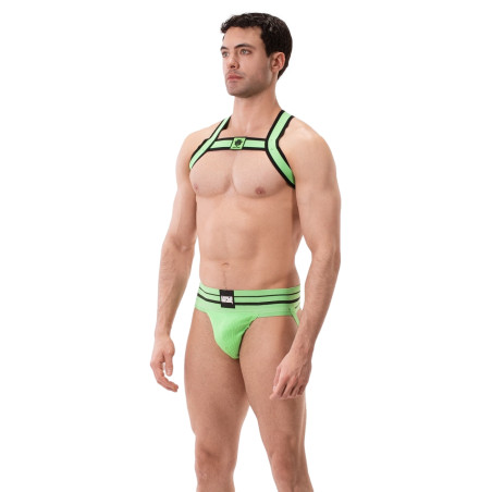 Harnais Élastique COLIN Vert