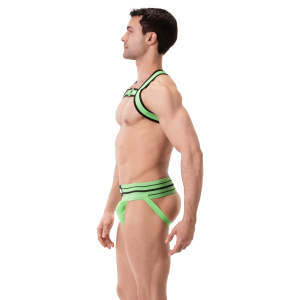Harnais Élastique COLIN Vert